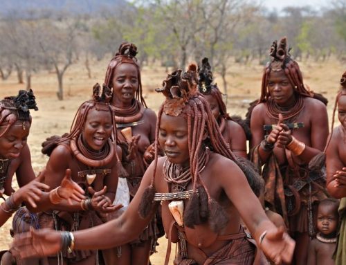 Himba Girl: The Tribal Beauty of Namibia